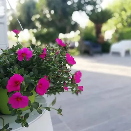 Residenza Marcella דירה *