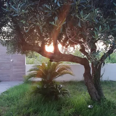 Residenza Marcella פרוסידה