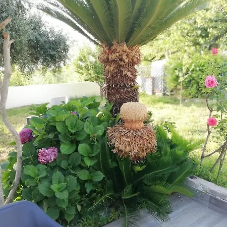 Residenza Marcella * פרוסידה