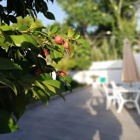 Appartement Residenza Marcella Procida